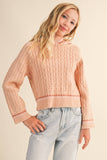 Hooded Sweater