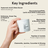 Glow Up Pad - Daily Detox Toner Pads