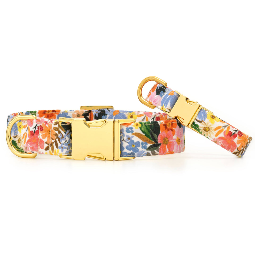 Rifle Paper Co. x TFD Marguerite Spring Dog Collar