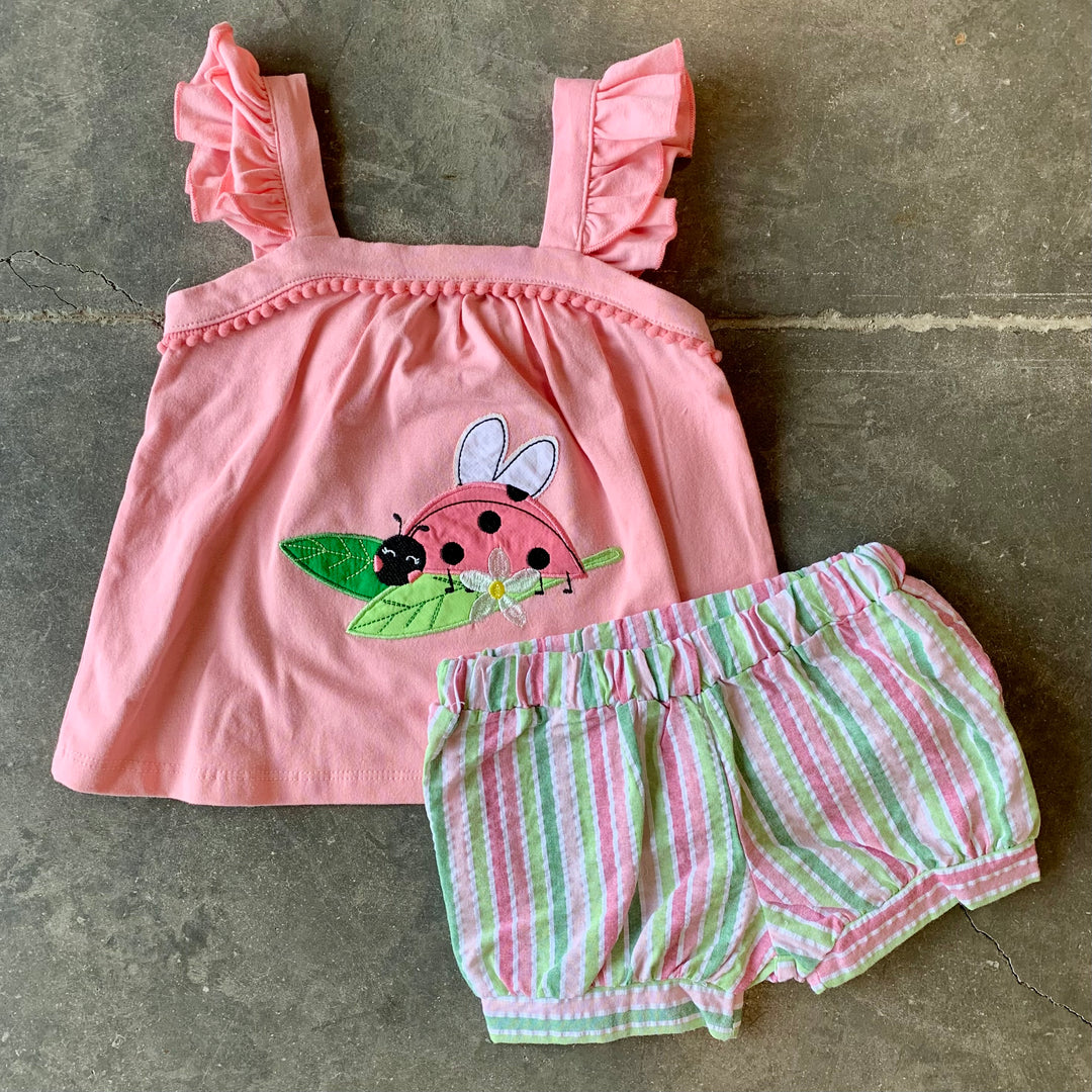 Ladybug Appliqué Set