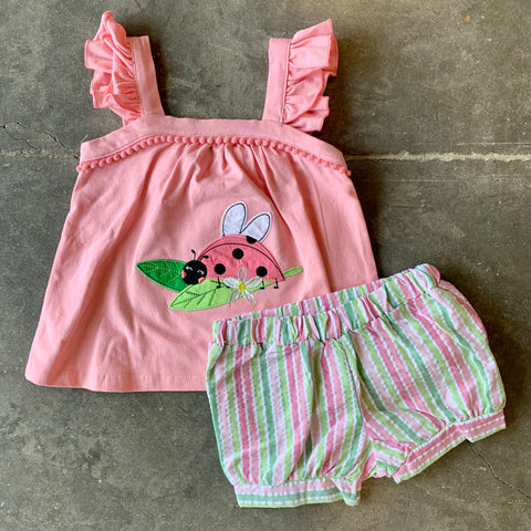 Ladybug Appliqué Set