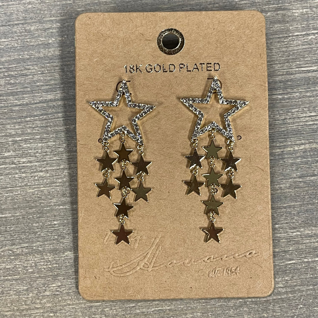 Vintage Havana Fiona Earrings
